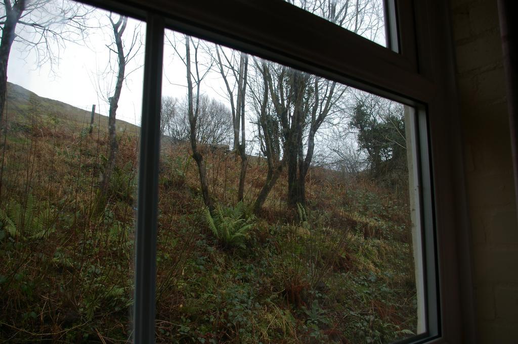 Yha Snowdon Ranger Vandrerhjem Llanberis Rom bilde